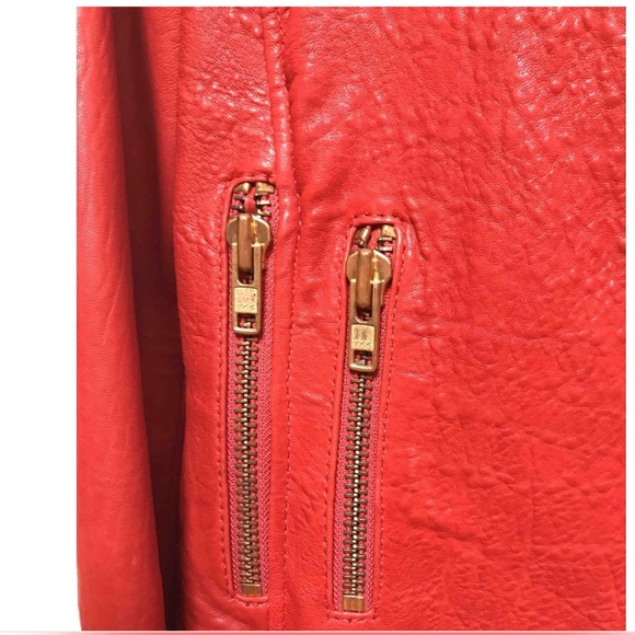 Jacket - Picture 4 of 7